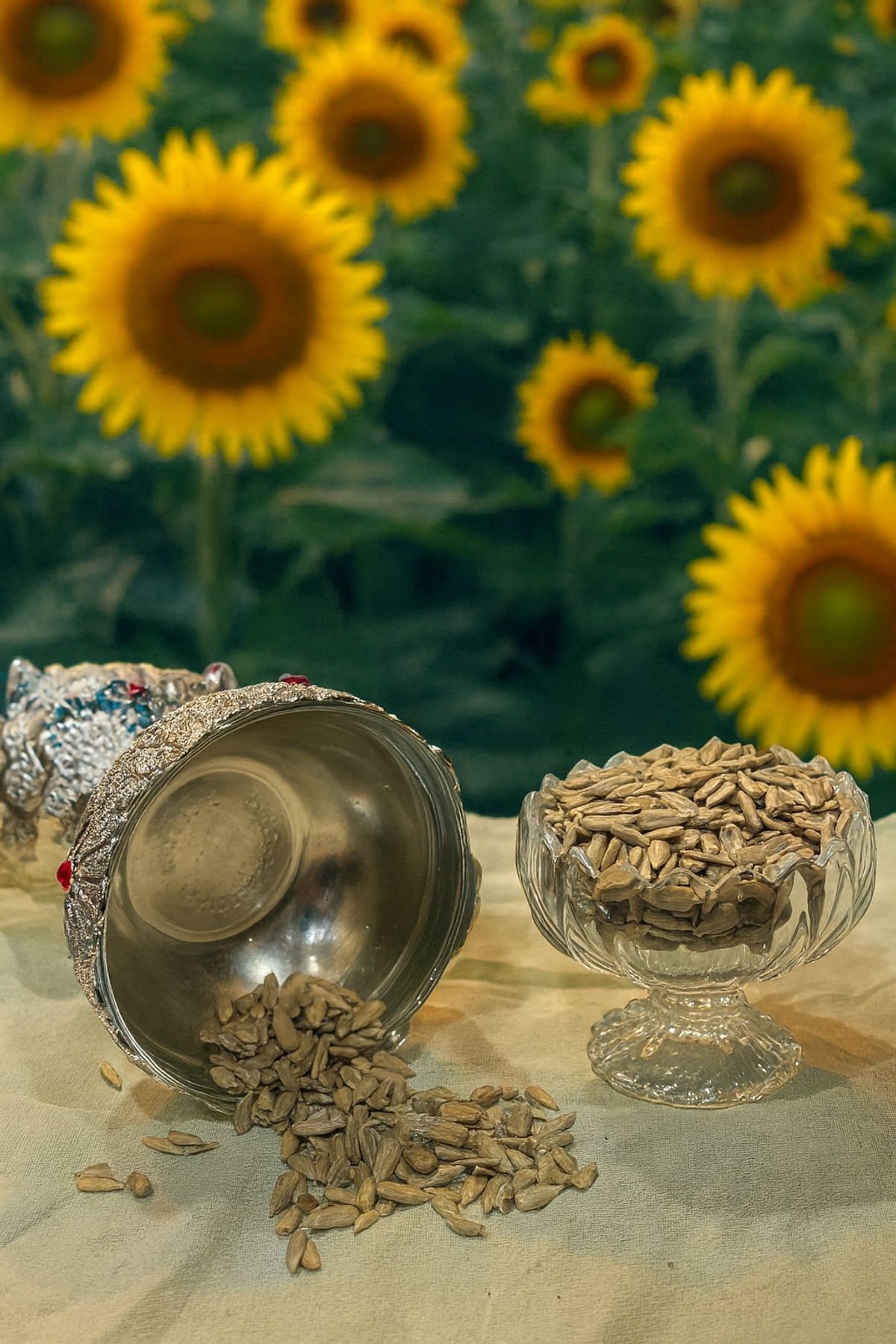 Gul Kash Sunflower Seeds